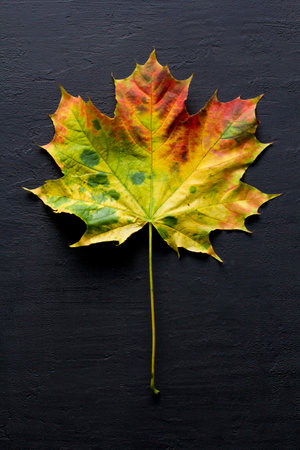 Pendant made of natural turquoise on a silver chain on a black background. Jewelry from natural stones. Pendant made of turquoise in the form of a drop on the girl's chest.の写真素材
