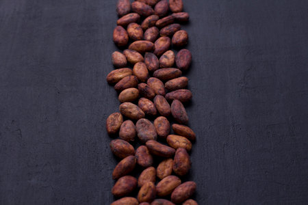 Unpeeled raw brown cocoa beans in heap lie On black modern concrete background. Flat lay, mock up, copy space. Raw materials for making cocoa powder, cocoa beverages, chocolate. Health drink concept.の写真素材