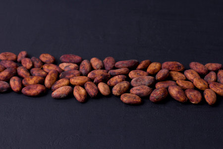 Unpeeled raw brown cocoa beans in heap lie On black modern concrete background. Flat lay, mock up, copy space. Raw materials for making cocoa powder, cocoa beverages, chocolate. Health drink concept.の写真素材