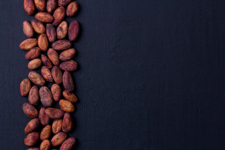 Unpeeled raw brown cocoa beans in heap lie On black modern concrete background. Flat lay, mock up, copy space. Raw materials for making cocoa powder, cocoa beverages, chocolate. Health drink concept.の写真素材