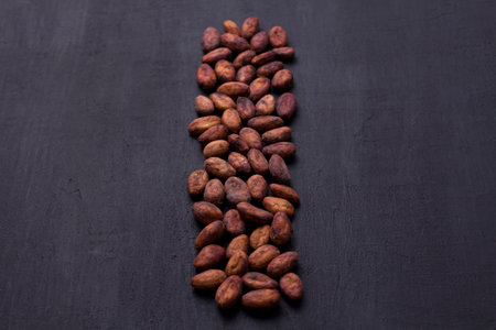 Unpeeled raw brown cocoa beans in heap lie On black modern concrete background. Flat lay, mock up, copy space. Raw materials for making cocoa powder, cocoa beverages, chocolate. Health drink concept.の写真素材