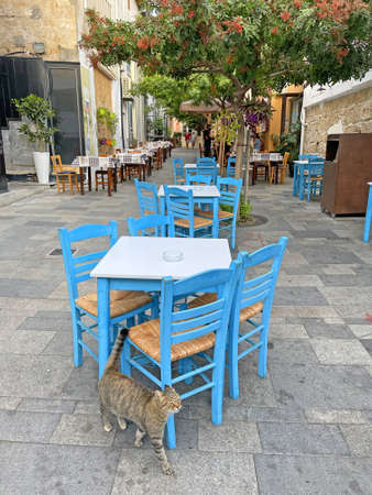 Beautiful empty street cafe in the summer without people due to lockdown, on the island of Cyprus. Blue chairs and tables of a street restaurant without people and a beautiful gray cat misses people.の写真素材