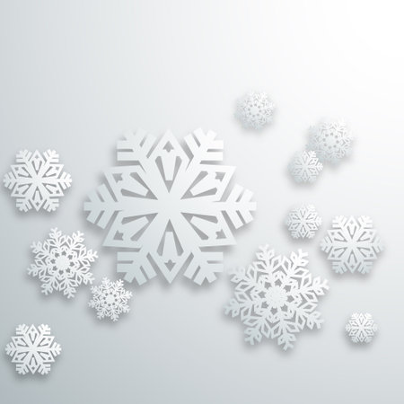 abstract 3D gray snowflakes pattern background.(ai eps10 with transparency effect)のイラスト素材