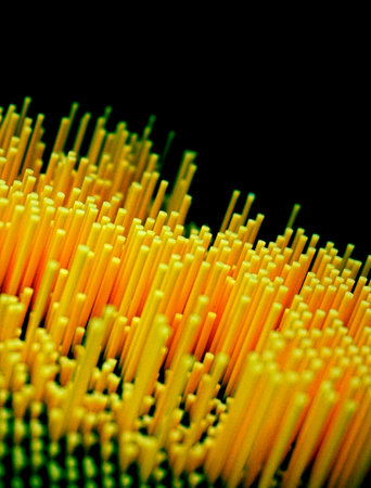 Close up of a bunch of spaghetti on a black background. Shallow depth of field.