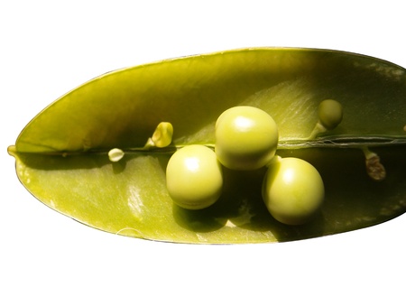 green peas with coverの写真素材