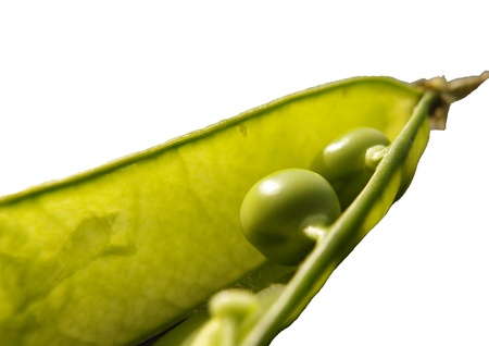 green peas boatの写真素材