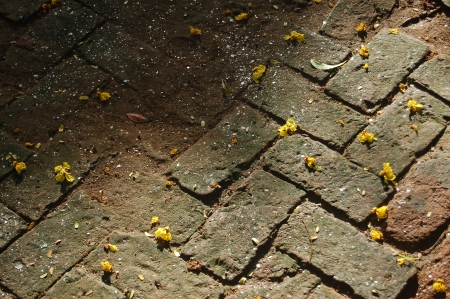 sunlight falling on bricksの写真素材