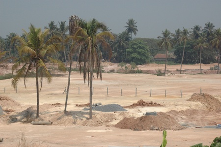 deforestrationの写真素材