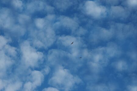 blue sky with white cloud
