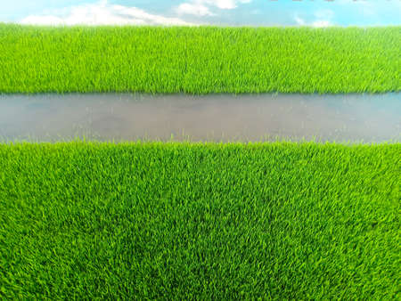 Green rice seedling nursery in a horizontal straight line with water channel and reflection of blue sky. The abundance of nature concepts.の写真素材