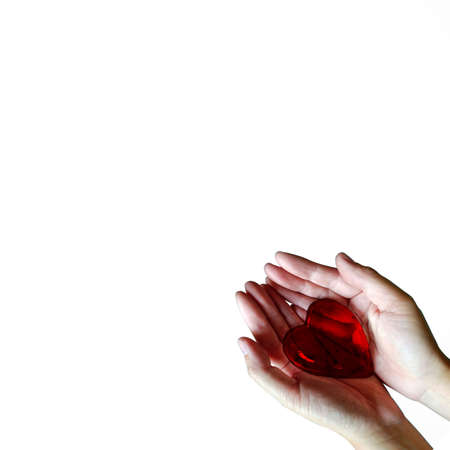 Red glowing crystal heart holded by hands isolated on white background.の写真素材