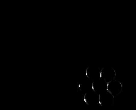 black flower shape palette on black backgroundの写真素材