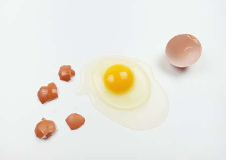 One raw chicken egg with yellow yolk and clear white egg in three layers and broken eggshell in...