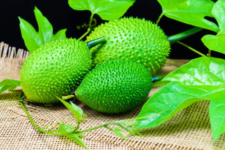 Gac fruit, Baby Jackfruit, Spiny Bitter Gourd, Sweet Grourd or Cochinchin Gourd