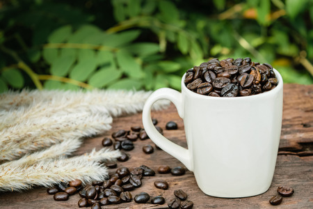 coffee beans in white cup on wooden with nature backgroundの写真素材