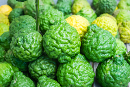 Bergamot herb of Thailand, on wooden tableの写真素材