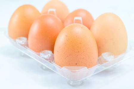 Raw chicken eggs in egg box on white backgroundの写真素材