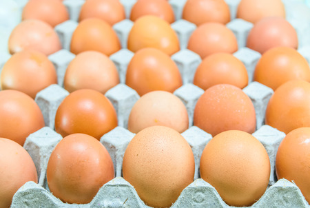 Raw chicken eggs in egg boxの写真素材