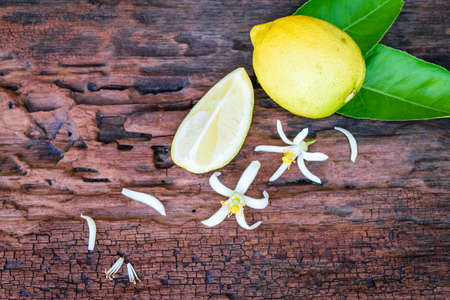 fresh lemon on an old wood backgroundの写真素材