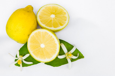 fresh lemon isolated on white backgroundの写真素材