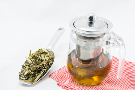 Stevia leaf with a glass jar stevia infusion isolated on white backgroundの写真素材