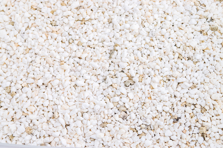 perlite and vermiculite for hydroponics vegetableの写真素材