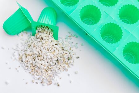 Perlite and vermiculite with cup of planting set for hydroponics vegetableの写真素材