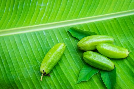 Averrhoa bilimbi fruit on banana leaf backgroundの写真素材