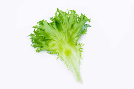 fresh frillice iceberg isolated on white backgroundの写真素材