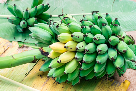 Banana bunch ripe on banana leaves.の写真素材
