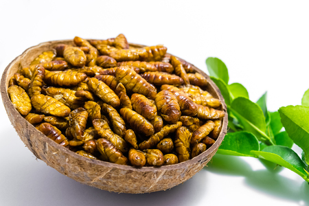 Fried silkworm's pupa in coconut shell with leaf bergamot on the white background.