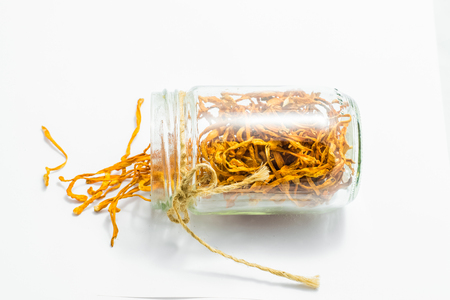 Dried cordyceps militaris mushroom in the glass jar isolated on white backgroundの写真素材