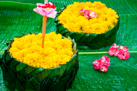 Krathong made of banana leaf and flowers. For floating in the Loy Krathong festival on green banana leaves isolated on green background.の写真素材