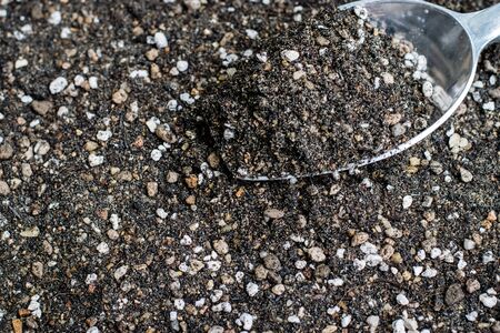 Mixed soil for growing cactus with metal scoopの写真素材