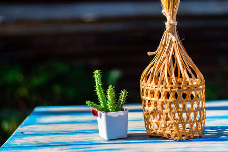 Small cactus with round bamboo basket on a wooden table