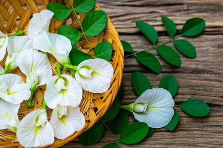 White anchan flowers in a bamboo basket on an old wooden tableの写真素材
