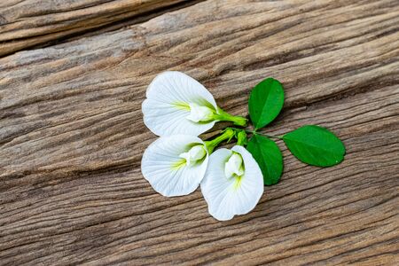 White anchan flowers on an old wooden tableの写真素材