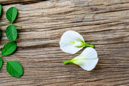 White anchan flowers on an old wooden tableの写真素材