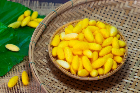 yellow silkworm cocoons shells, in the basket with mulberry leaves on a wooden tableの写真素材