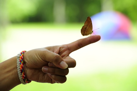 Yellow butterfly on human finger.の写真素材