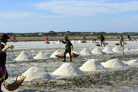PETCHABURI, THAILAND - APR 26Farmers harvesting salt in salt fields on April 26, 2014 in Petchaburi, Thailand.のeditorial素材