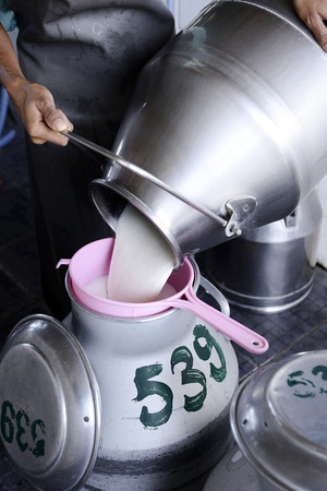 Worker pouring milk into a container.の写真素材