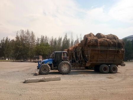 The dried sugar cane leaves are rolled into cubes and placed on the car.