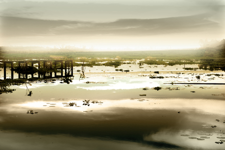 Little freshwater Phatthalungの写真素材