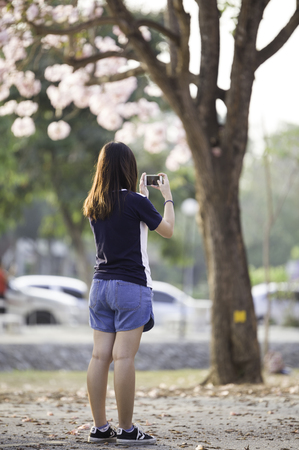 Traveler taking a photo of cherry blossoms tree on vacationのeditorial素材
