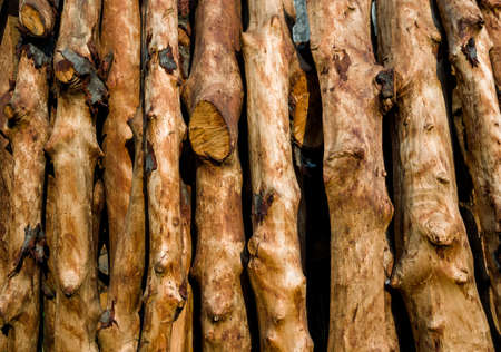 Pile of wood logs ready for winter - wood logs backgroundの写真素材