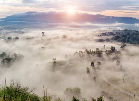 Sunrise in the sea of mist at dawn, Thailandの写真素材