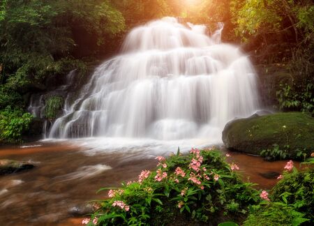 Waterfall in the deep forest at Phetchaboon Province, Thailand. Water fall landscape concept. Pink flower (Antirrhinum majus) only found at deep forest waterfall.の写真素材