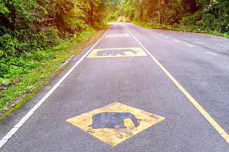 Beware of the elephant warning sign on asphalt road to tell that there may be the elephants on the roadの写真素材