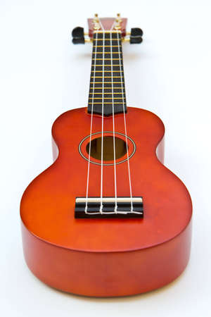 hawaiian traditional instrument ukulele